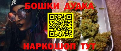 индика Гусиноозёрск