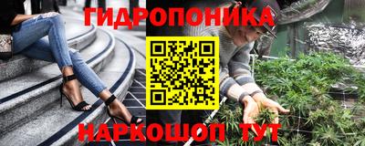 индика Гусиноозёрск