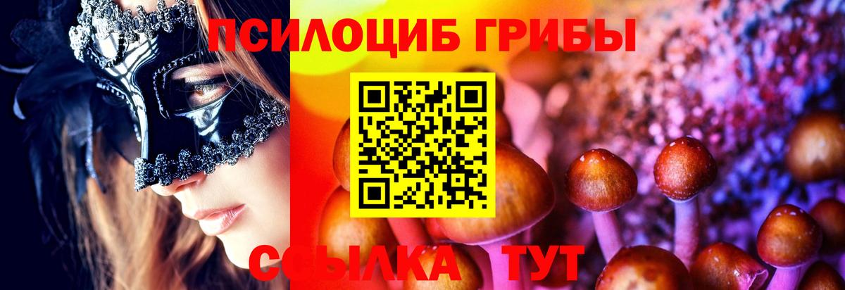 Лыткарино  Галлюциногенные грибы мухоморы  Вход с VPN 
