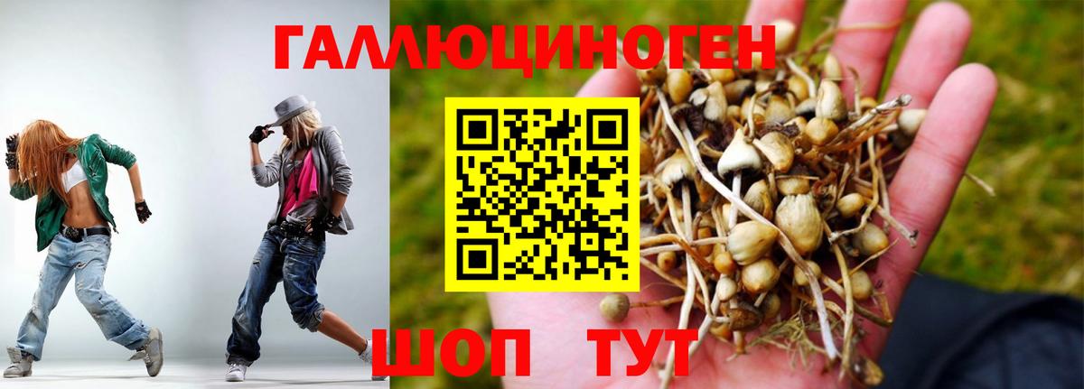 Галлюциногенные грибы Cubensis Лыткарино